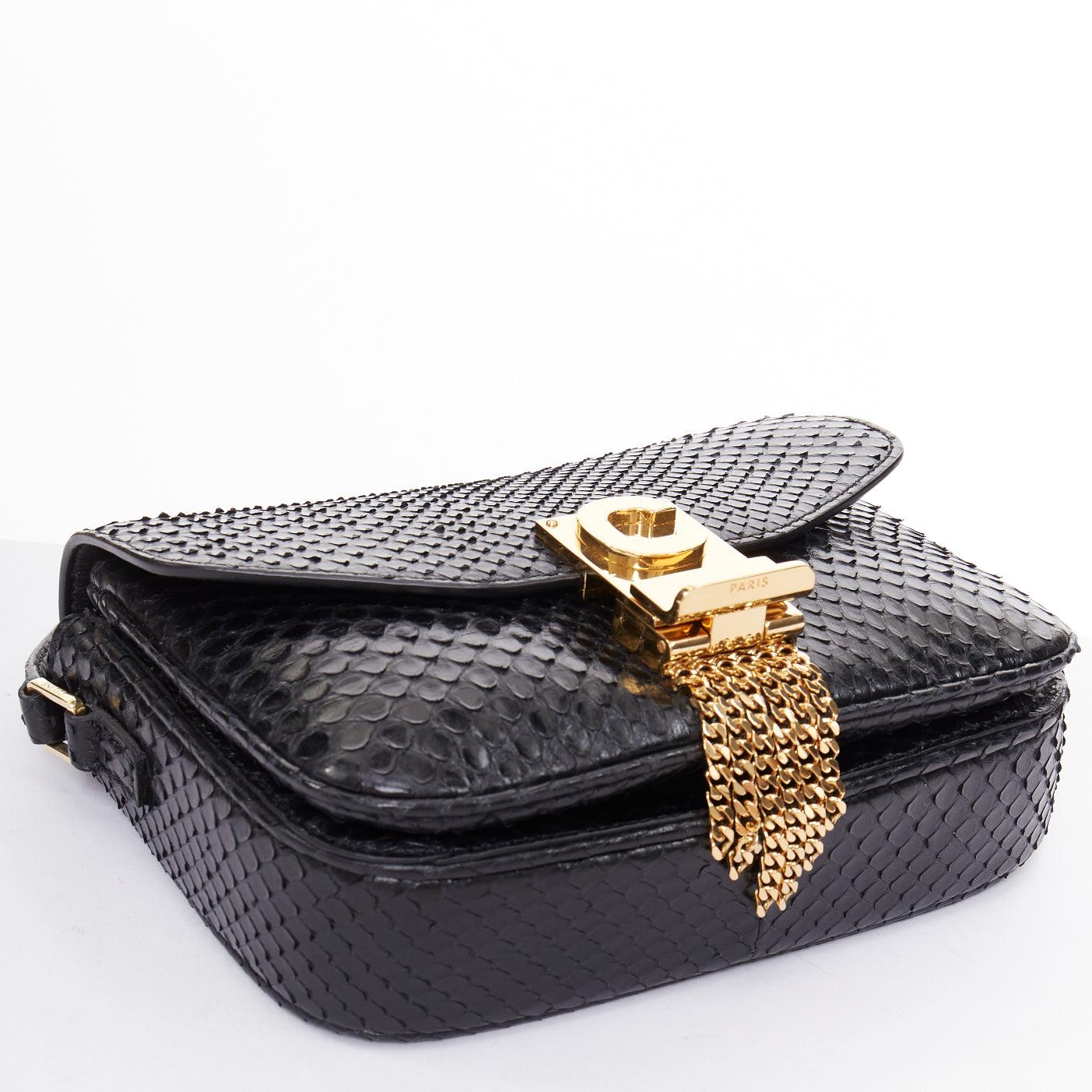 CELINE C Bag Runway schwarzes goldfarbenes Leder mit Fransen und C-Verschluss Crossbody Box Bag im Angebot 1