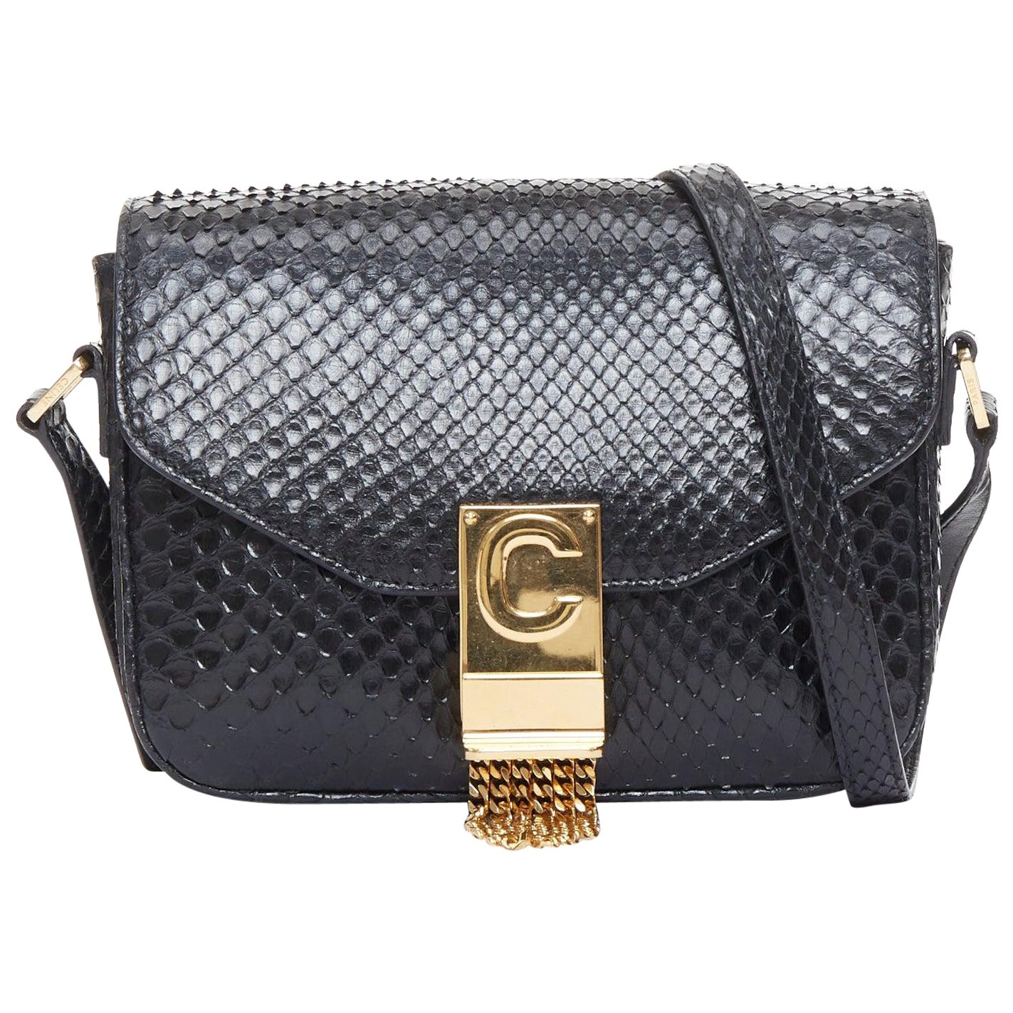 CELINE C Bag Runway schwarzes goldfarbenes Leder mit Fransen und C-Verschluss Crossbody Box Bag