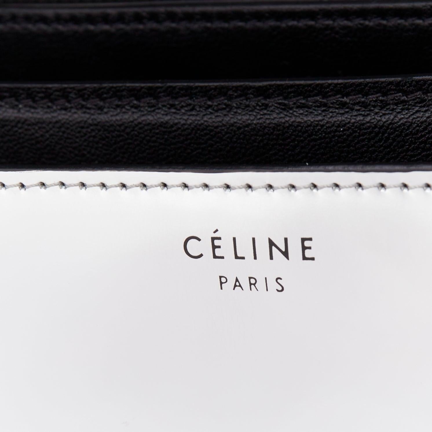 Celine Classic Box sac messager en cuir argenté à fermoir poussoir pour le corps. en vente 4