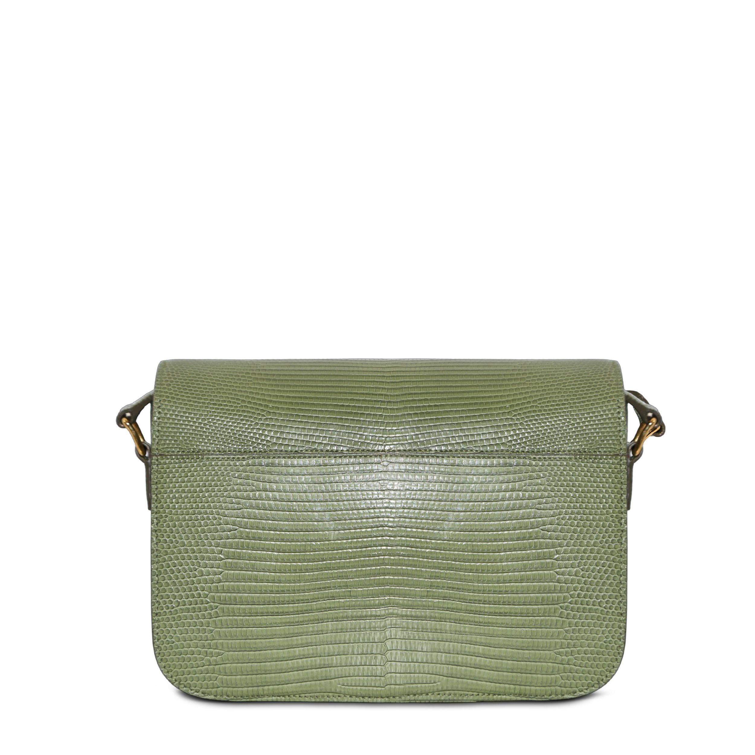Brown Celine Classic Light Khaki Triomphe Bag GHW For Sale
