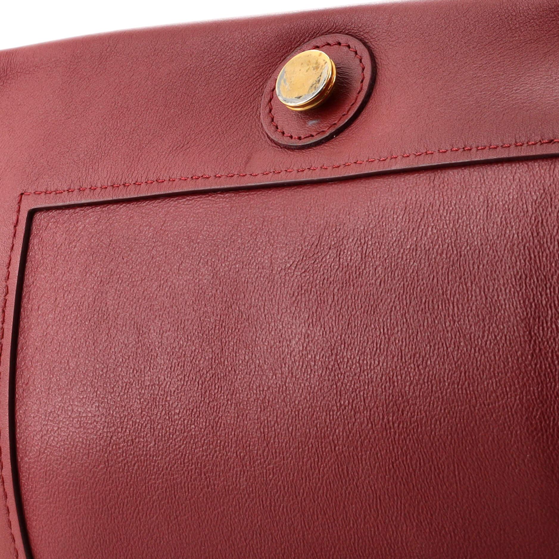 Brown Celine Frame Shoulder Bag Leather Medium