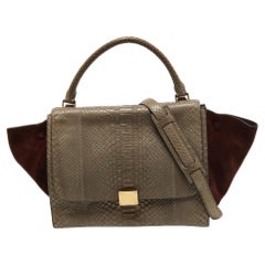 Medium Trapeztasche von Celine in Grau/Burgundy aus Python und Wildleder