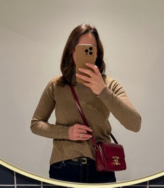 Celine Light Burgundy Shiny Calfskin Teen Triomphe