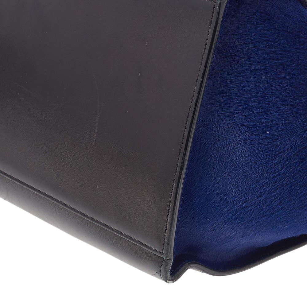 Celine Multicolor Calfhair and Leather Medium Trapeze Bag 5