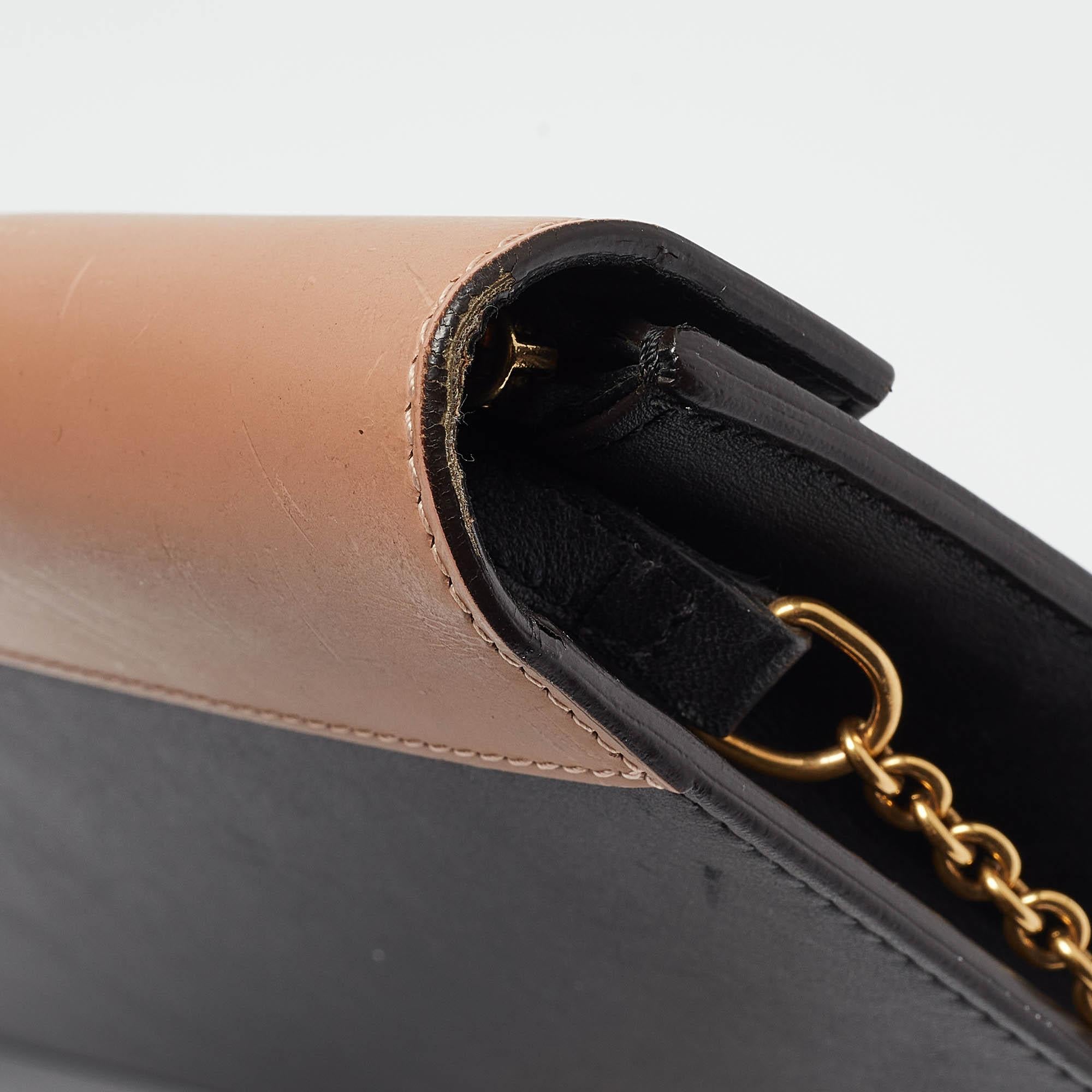 Celine Multicolor Leather and Karung Pocket Envelope Shoulder Bag 2