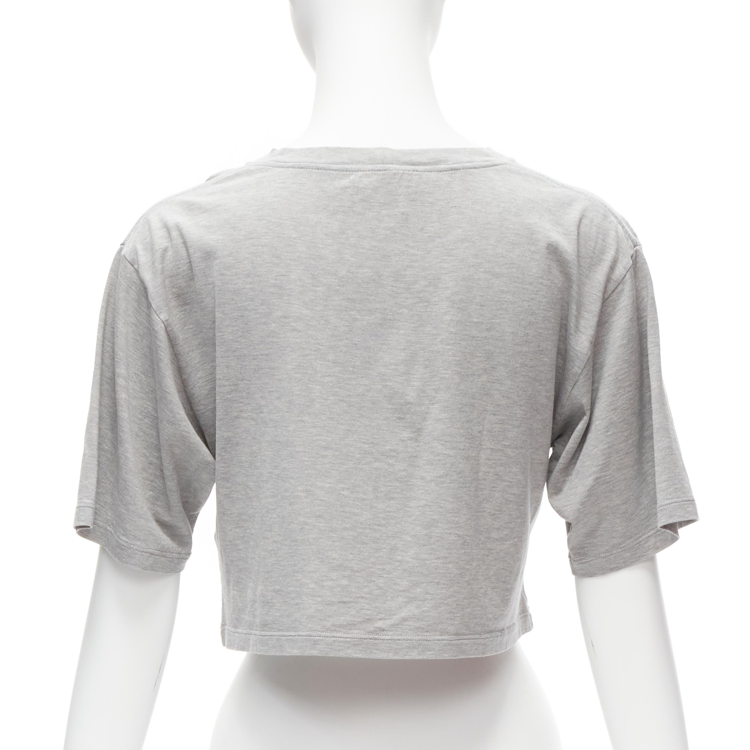 Women's CELINE PARIS red logo grey cotton crew neck cropped tshirt XS For Sale