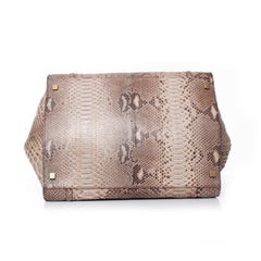 Celine, Phantom Luggage tote in python leather