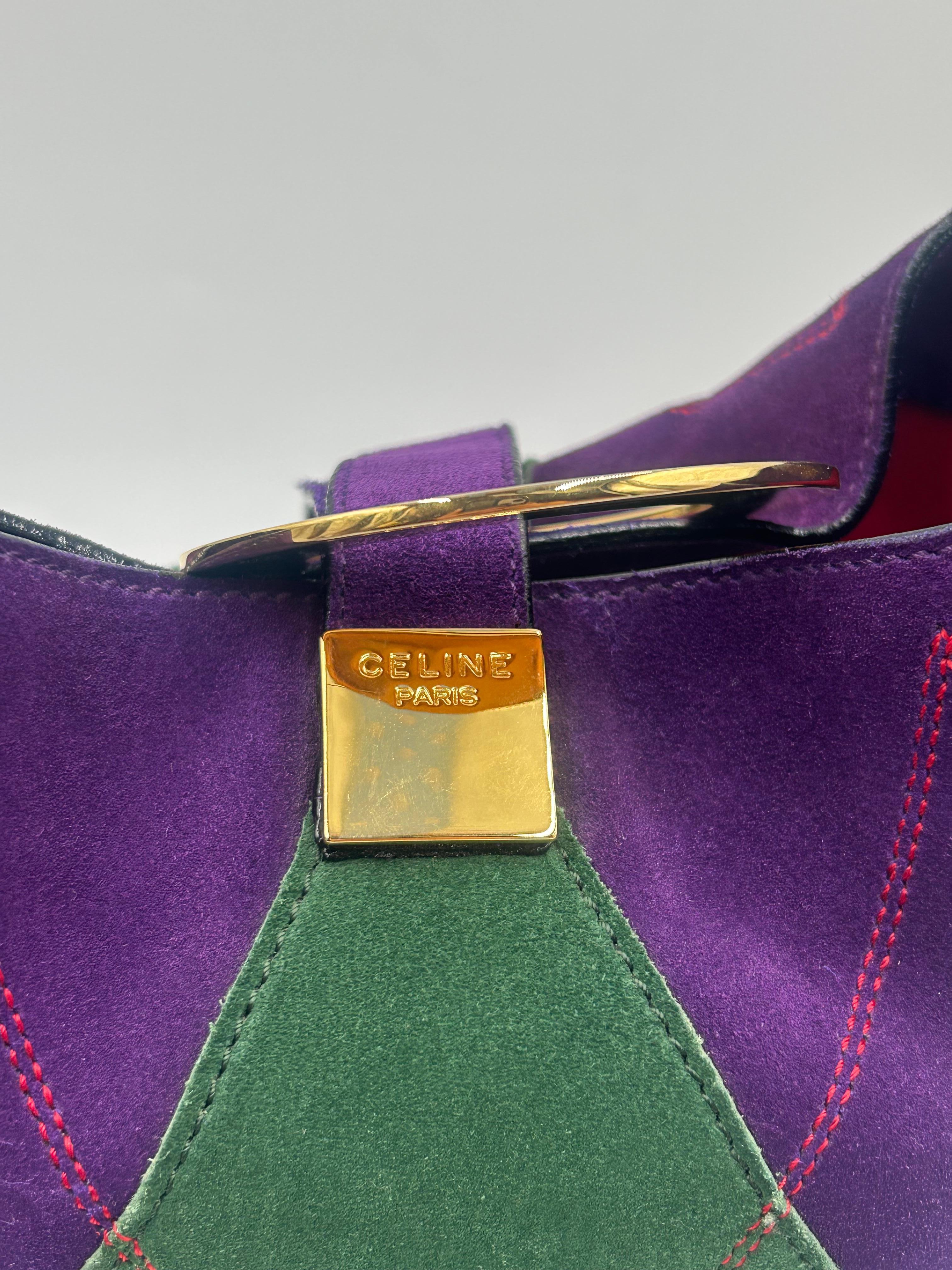 Women's or Men's Céline Purple & Green Bucket Suede Bag For Sale