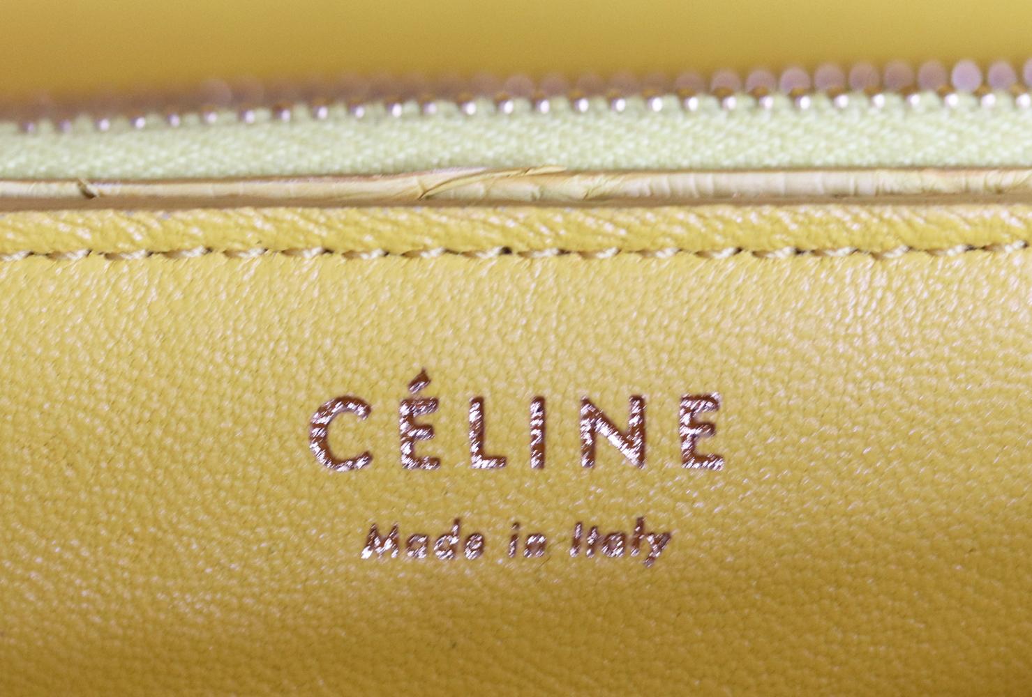Yellow Celine Python Leather Medium Classic Box Bag
