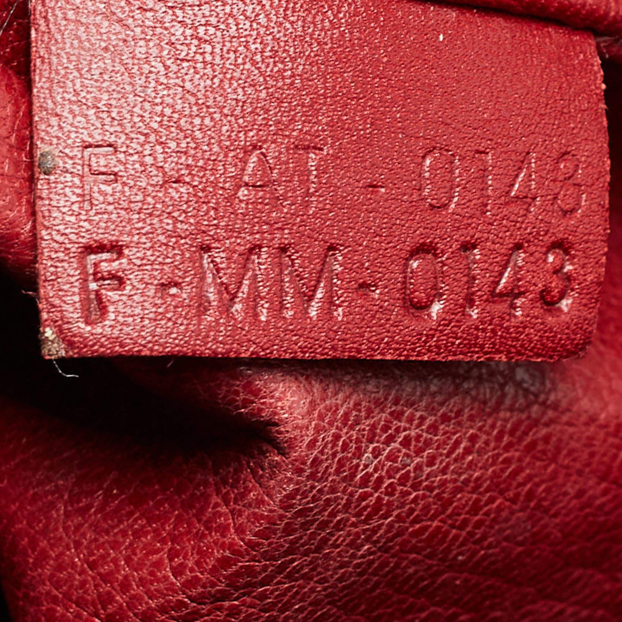 Celine Red Leather Mini Luggage Tote 12