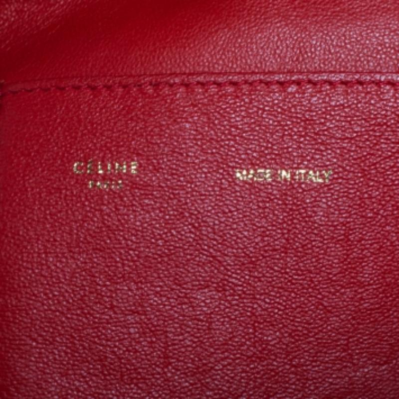 In every stride, swing, and twirl, your audience will gasp in admiration at the beautiful sight of this Céline bag. Crafted from suede and python in Italy, the bag has a style that will catch glances from a mile. It has been designed with the