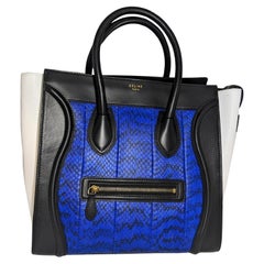 Celine Mini Luggage Tote in pitone tricolore blu reale