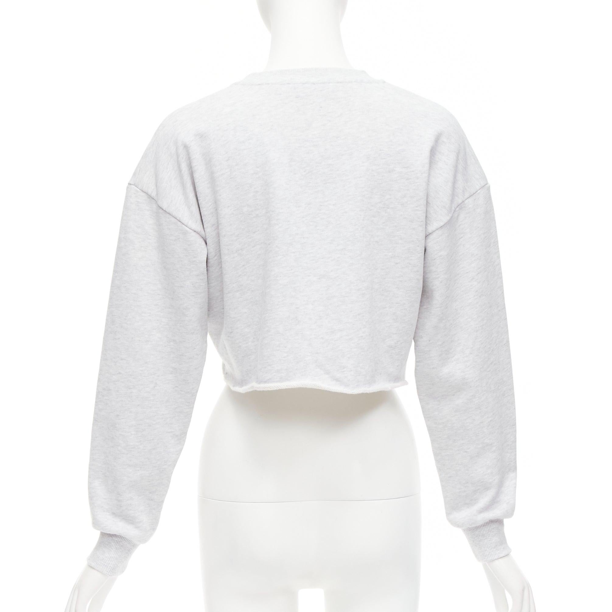 Women's CELINE Runway grey cotton varsity logo cutoff sweatshirt crop top XS For Sale