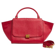 Céline Sac Trapeze Medium Flashy Pink Leather Bag New by Phoebe Philo Celine