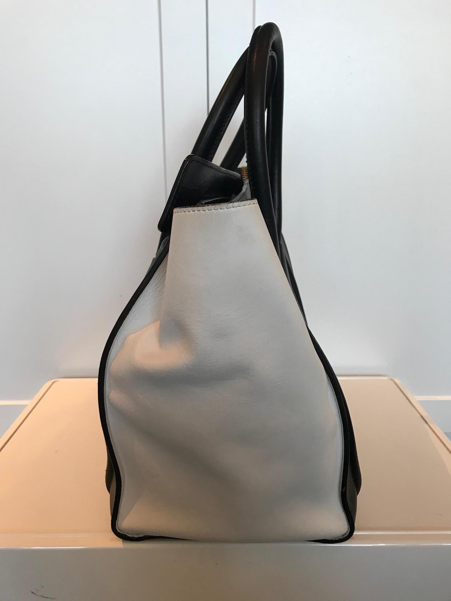 Celine Skin and Leather Mini Luggage Tote In Good Condition For Sale In Roslyn, NY