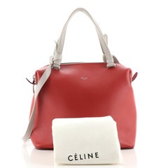 Celine Soft Cube Bag Leather Small