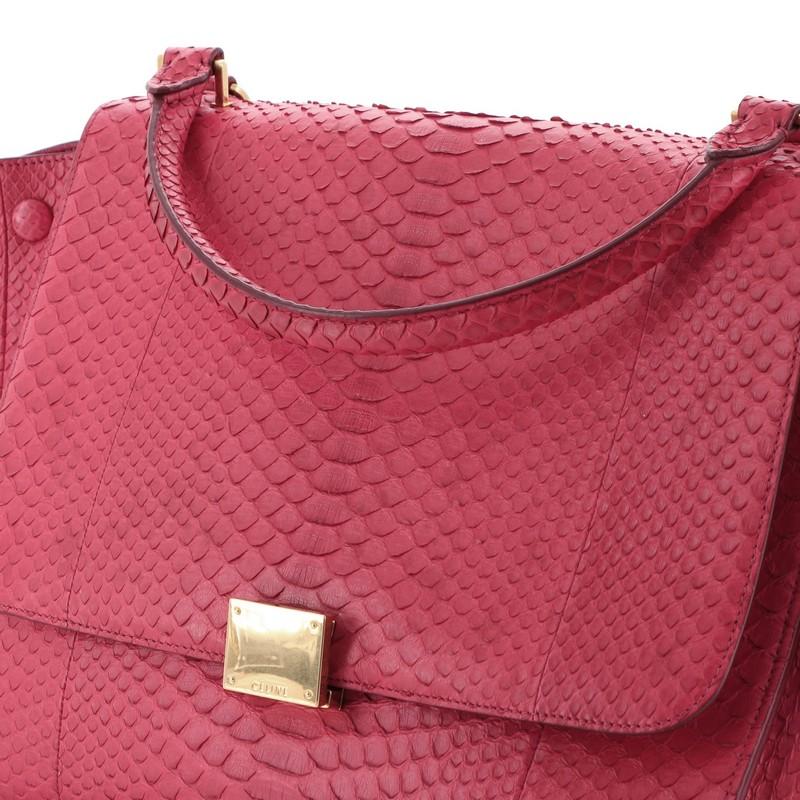 Celine Trapeze Bag Python Medium 1