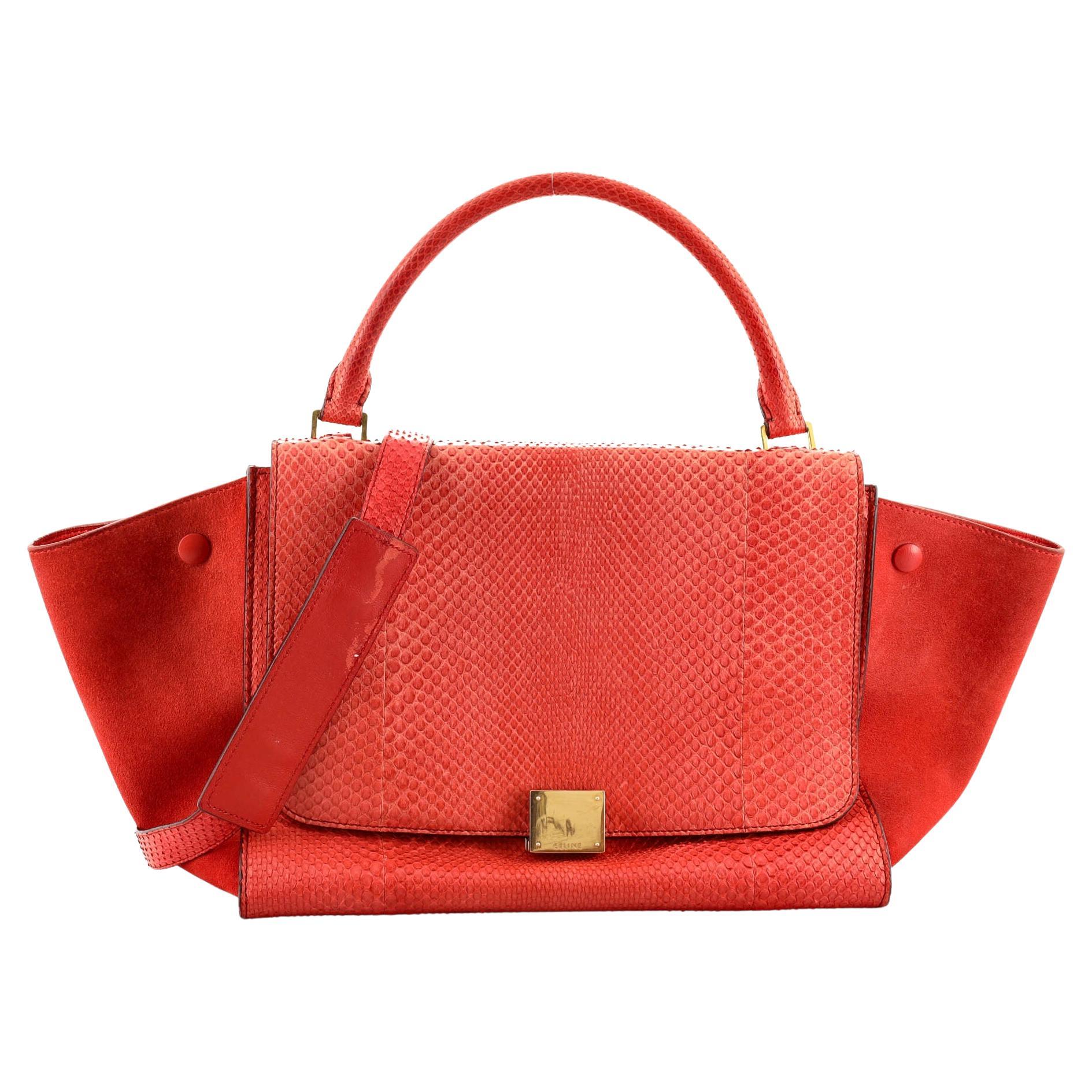 Celine Luggage Bag Grainy Leather Nano at 1stDibs