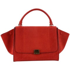 Celine Trapeze Handbag Python Small