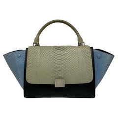 Celine Trapeze Python Handbag in Blue, Gray and Black Colors