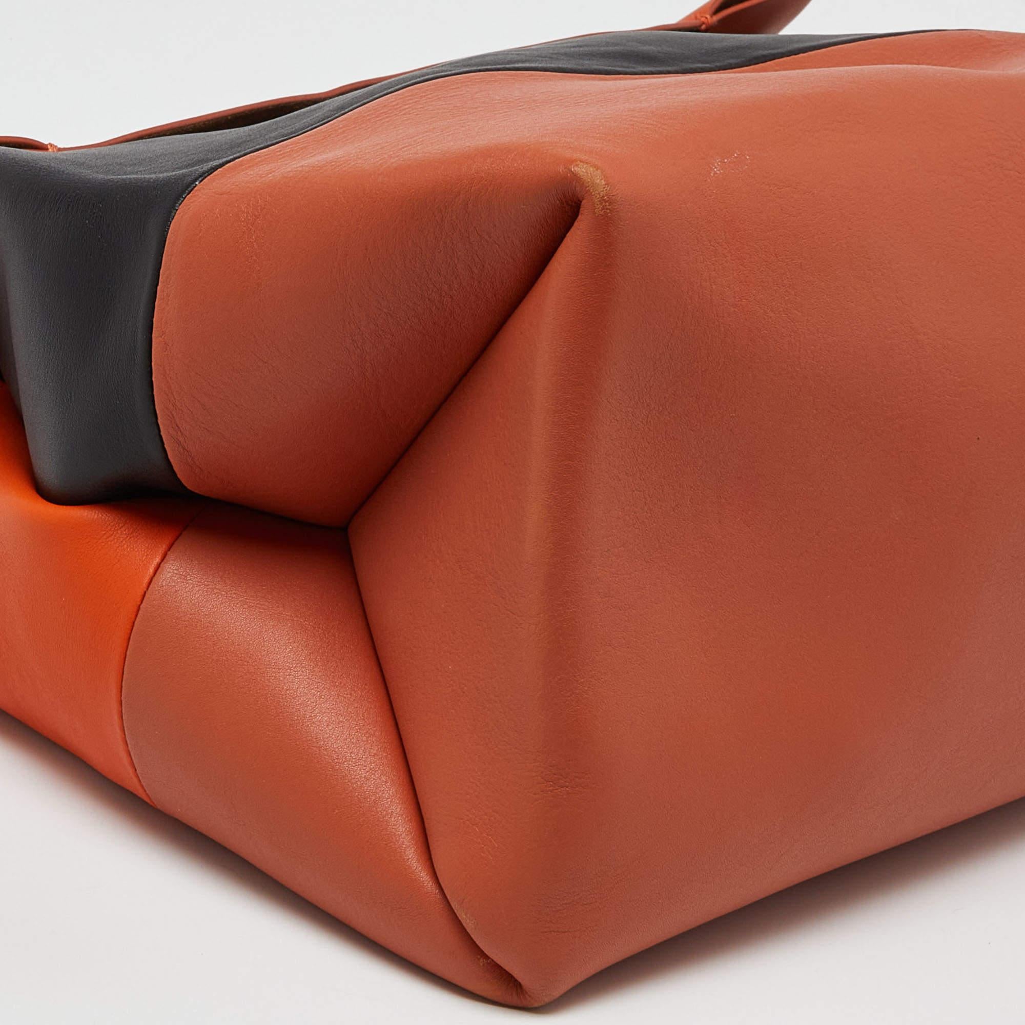 Celine Tri Color Leather All Soft Shoulder Bag 3