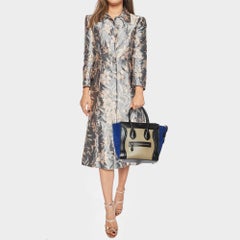 Celine Tri Color Leder und Wildleder Micro Luggage Tote