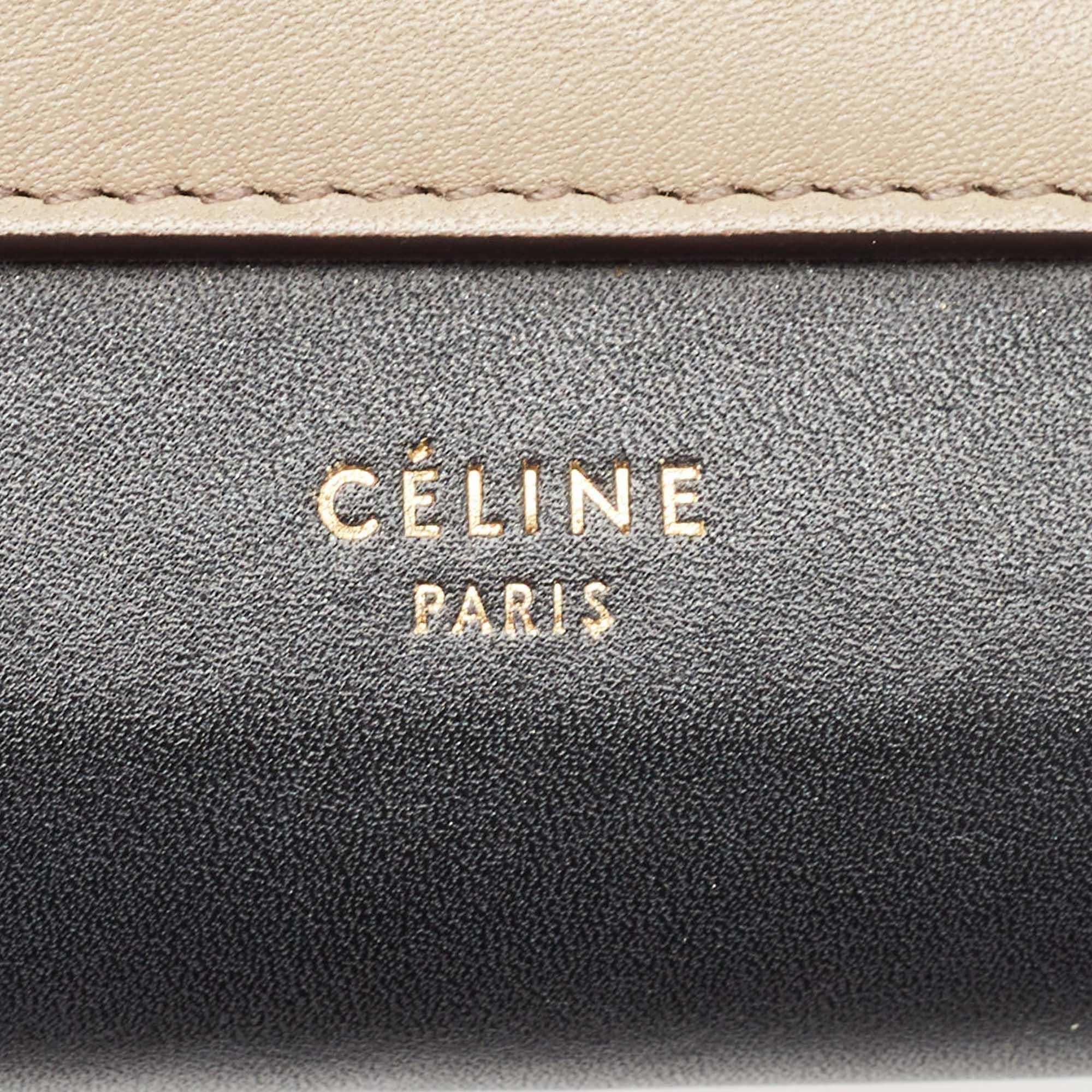 Celine Tricolor Leather Pocket Envelope Wallet On Chain 4