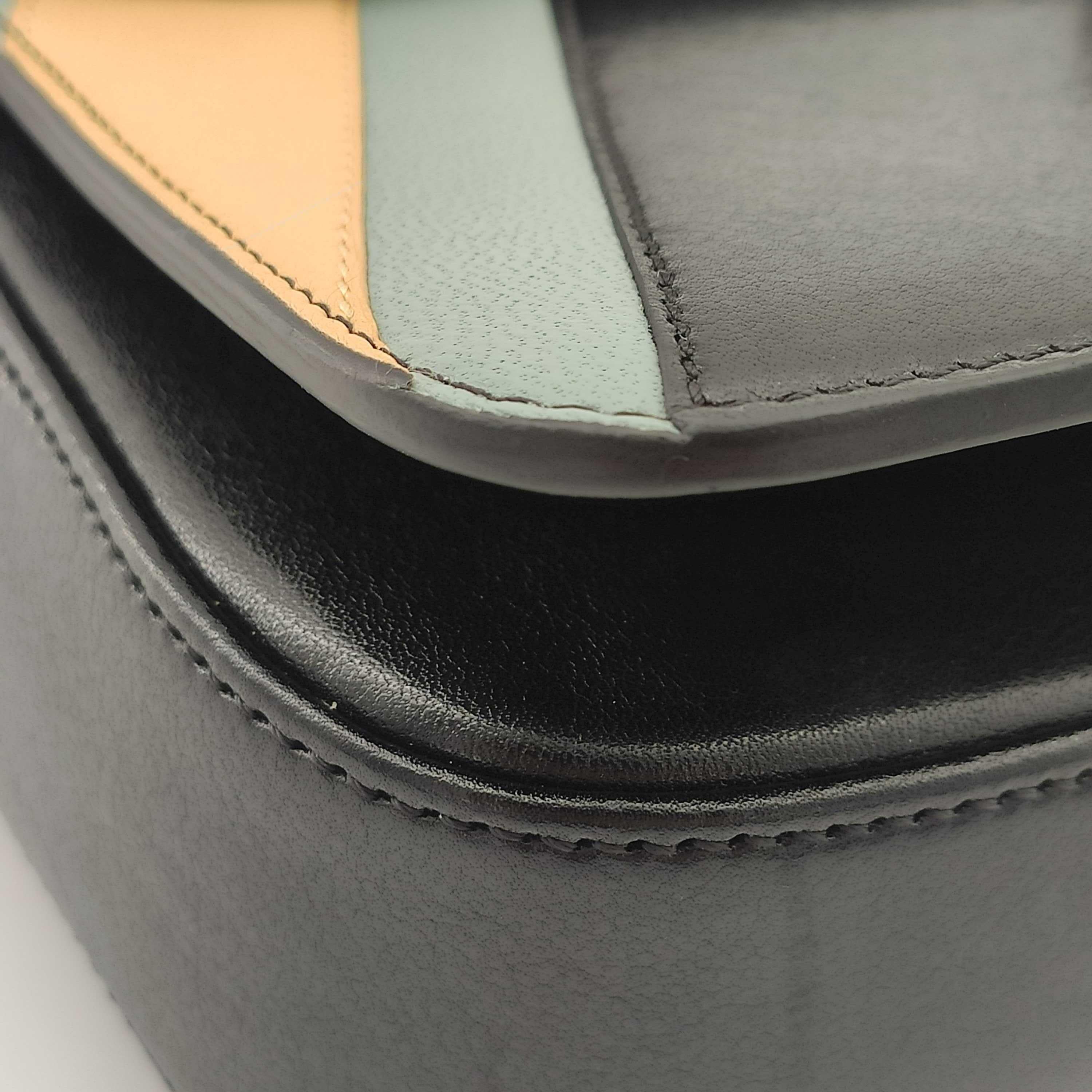 CÉLINE Triomphe Shoulder bag in Multicolour Leather 5