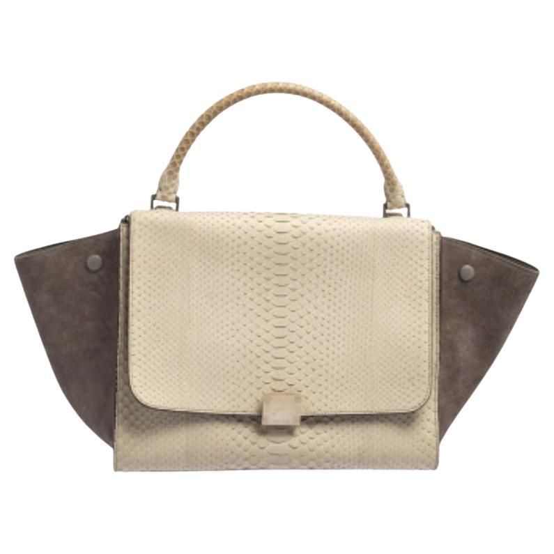 Celine Two Tone Grey Python and Suede Medium Trapeze Top Handle Bag For Sale