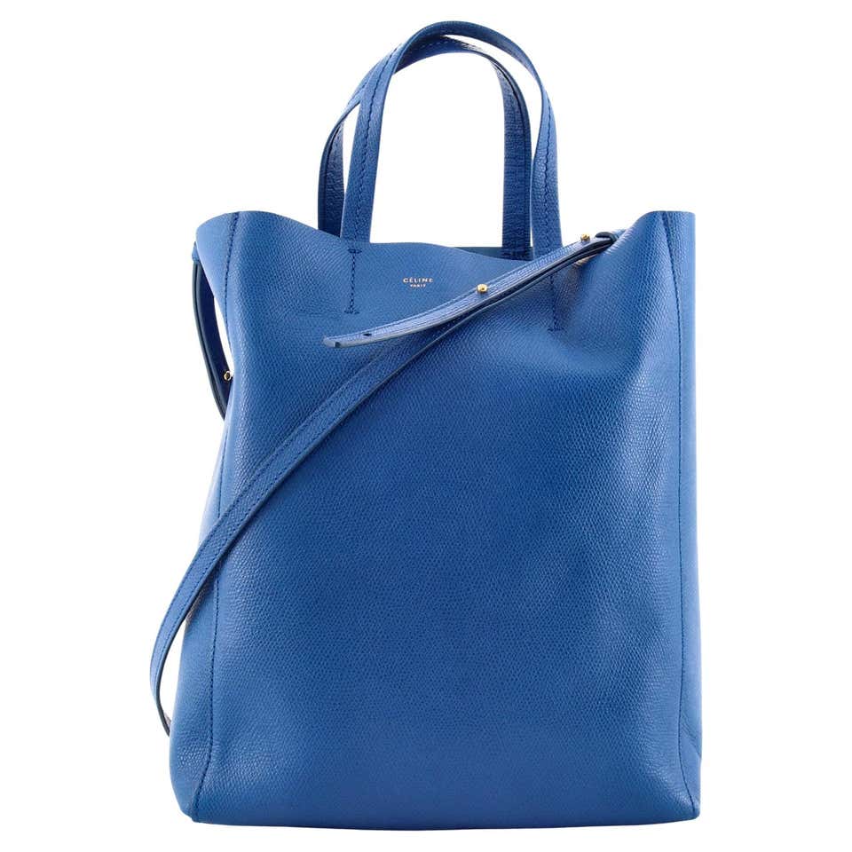 Celine Phantom Blue Python Bag For Sale at 1stDibs | celine python bag ...