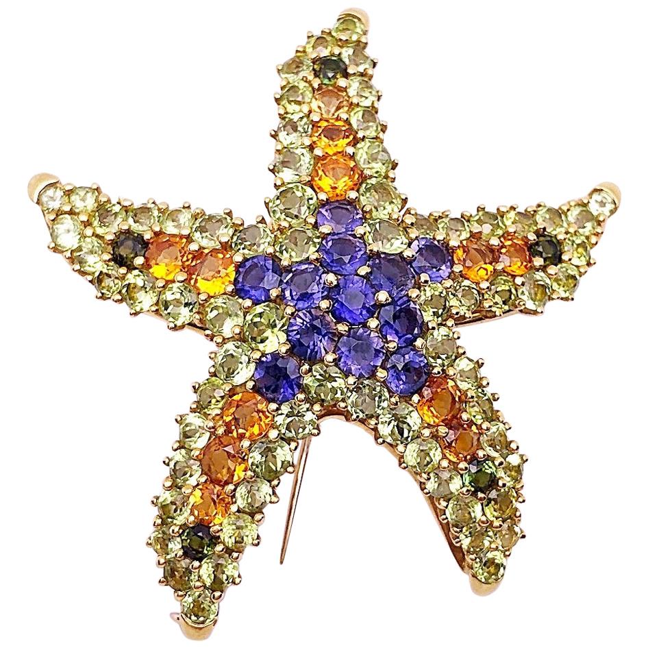 Cellini Broche étoile de mer en or jaune 18 carats avec pierres semi-précieuses en vente