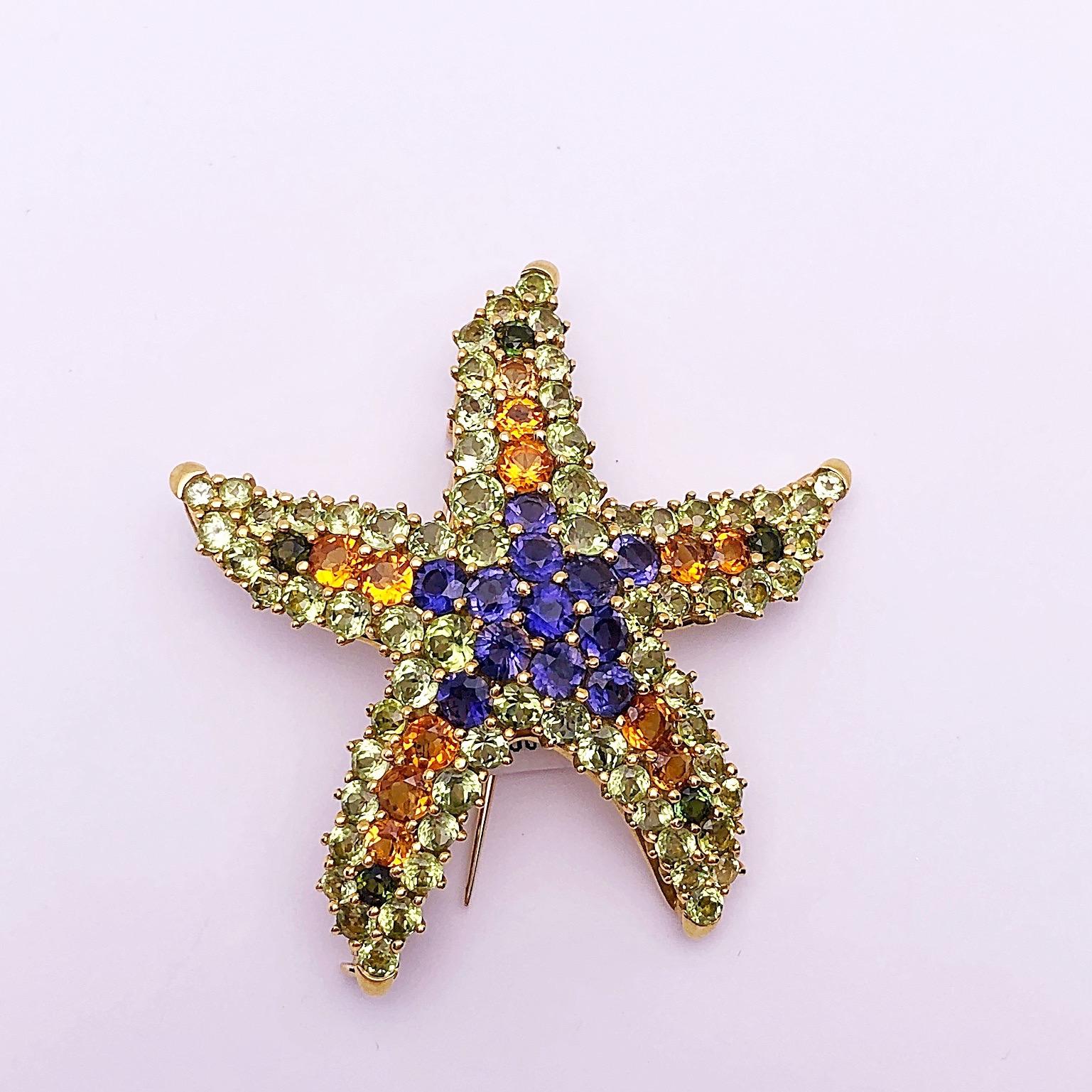 Round Cut Cellini 18 Karat Yellow Gold Starfish Brooch with Semi-Precious Stones For Sale