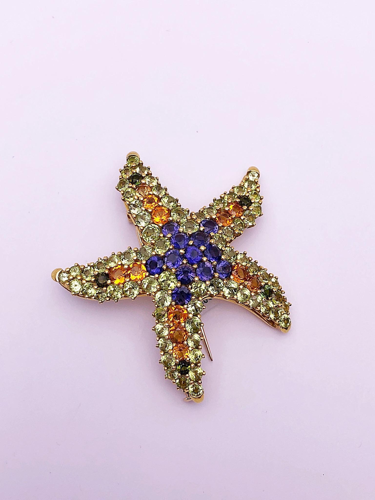 Cellini 18 Karat Yellow Gold Starfish Brooch with Semi-Precious Stones In New Condition For Sale In New York, NY