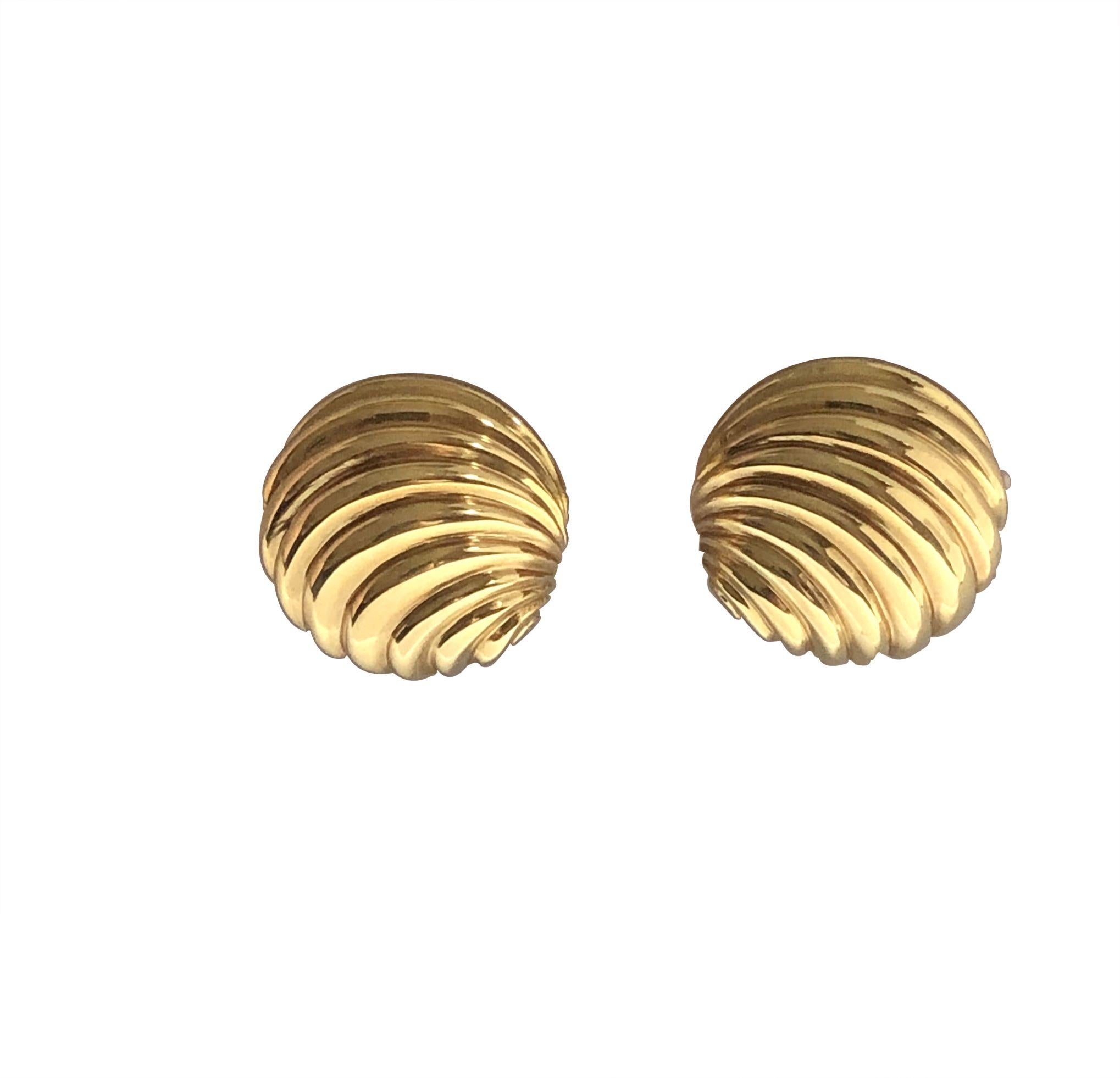 Women's Cellini Italy Elegant Yellow Gold Shell Form Earrings
