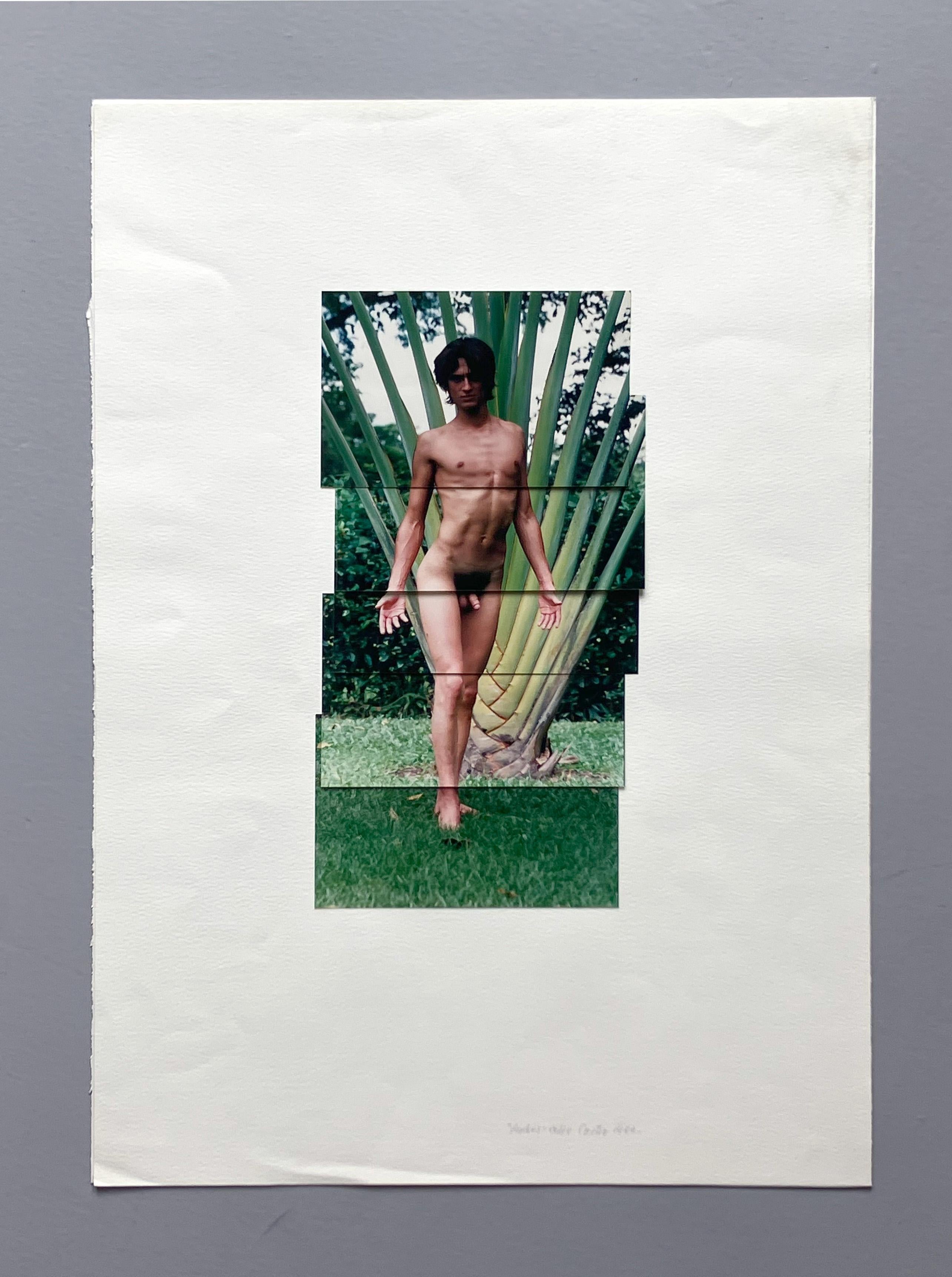 Díptico Andrés. De la Serie Guerreros. Collage fotográfico - Nude Photograph Gris de Celso José Castro Daza