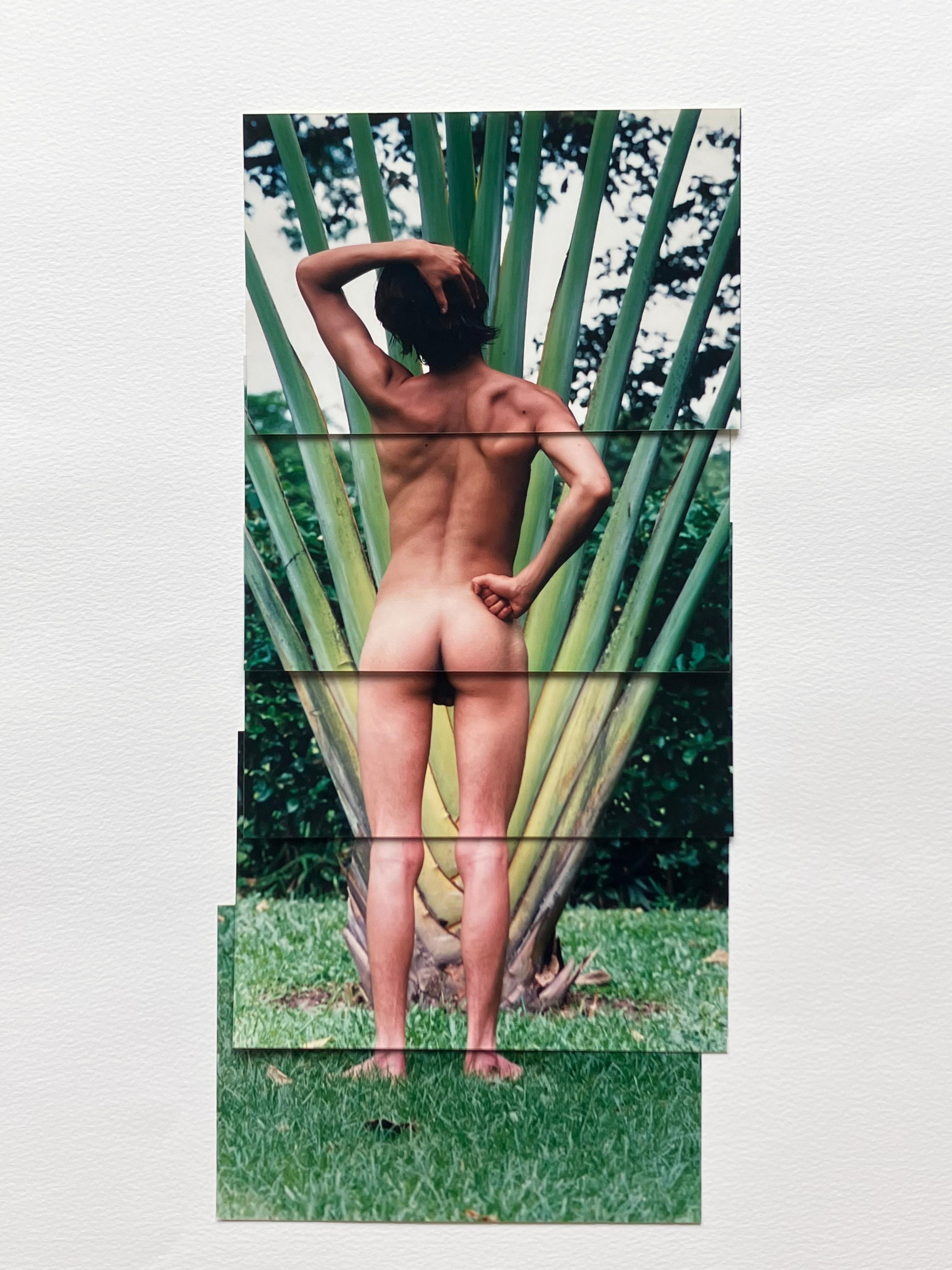 Díptico Andrés. De la Serie Guerreros. Collage fotográfico en venta 3