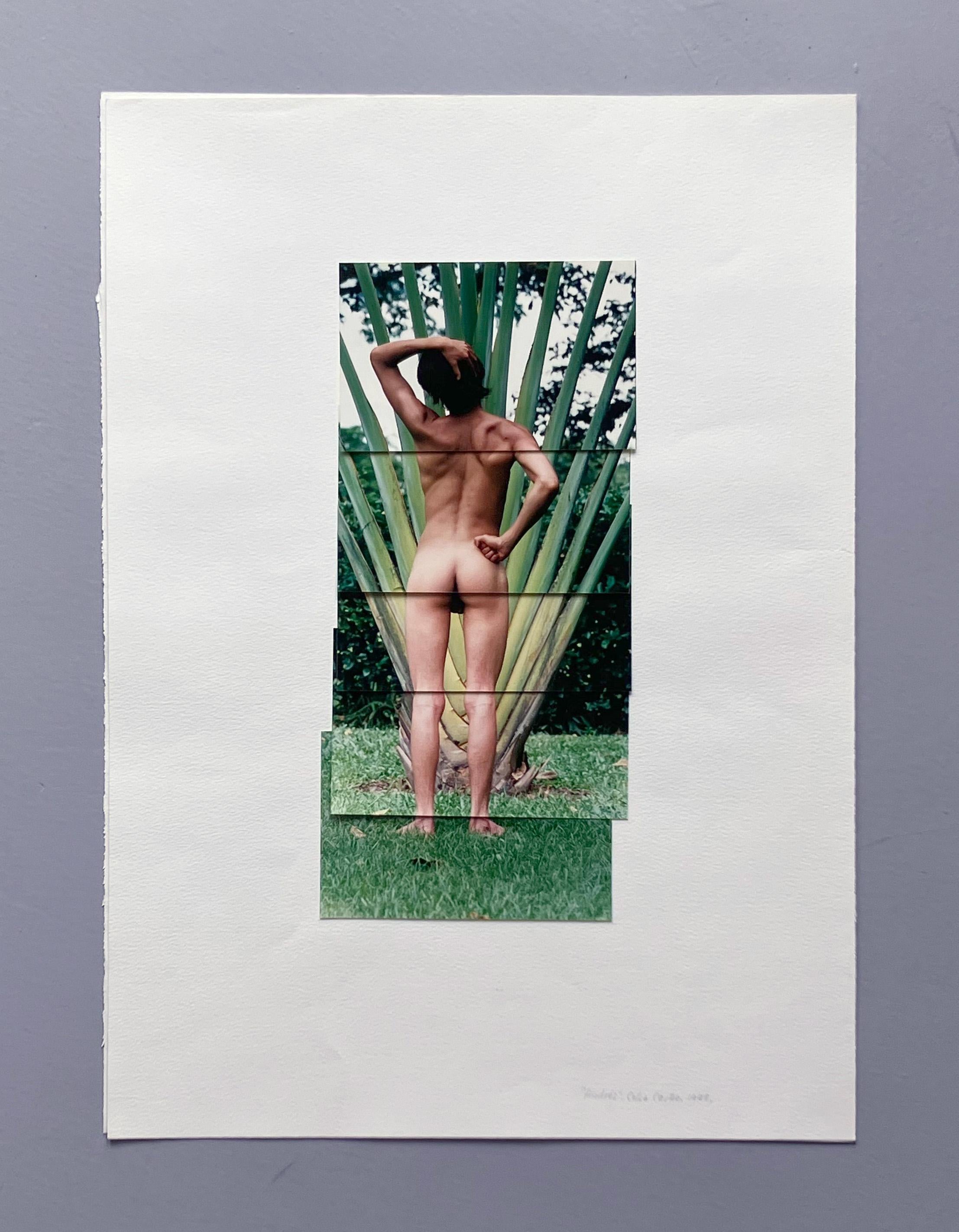 Díptico Andrés. De la Serie Guerreros. Collage fotográfico en venta 4