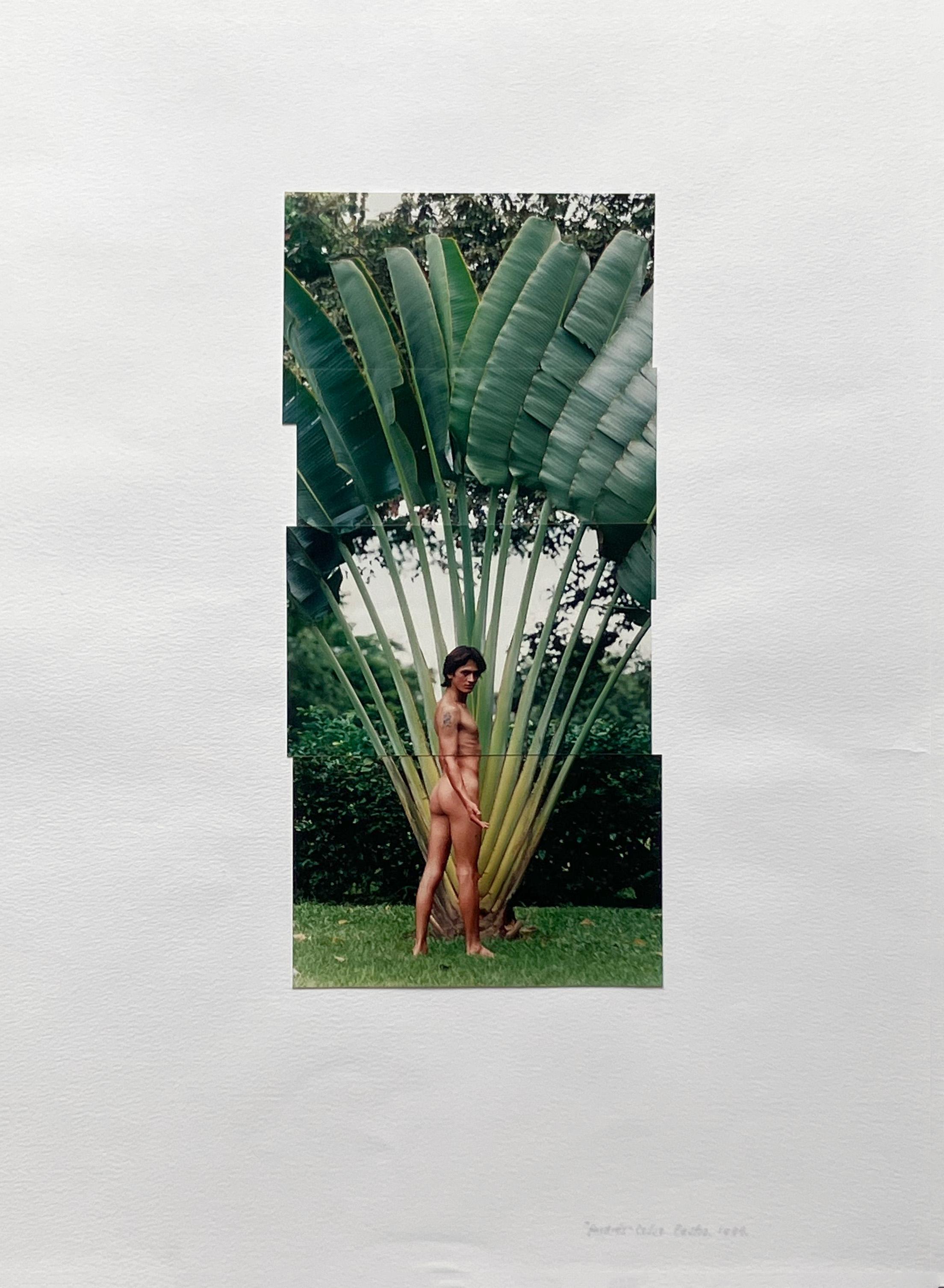 Nude Photograph Celso José Castro Daza - Andrés. Extrait de la série Guerreros. Collage de photos