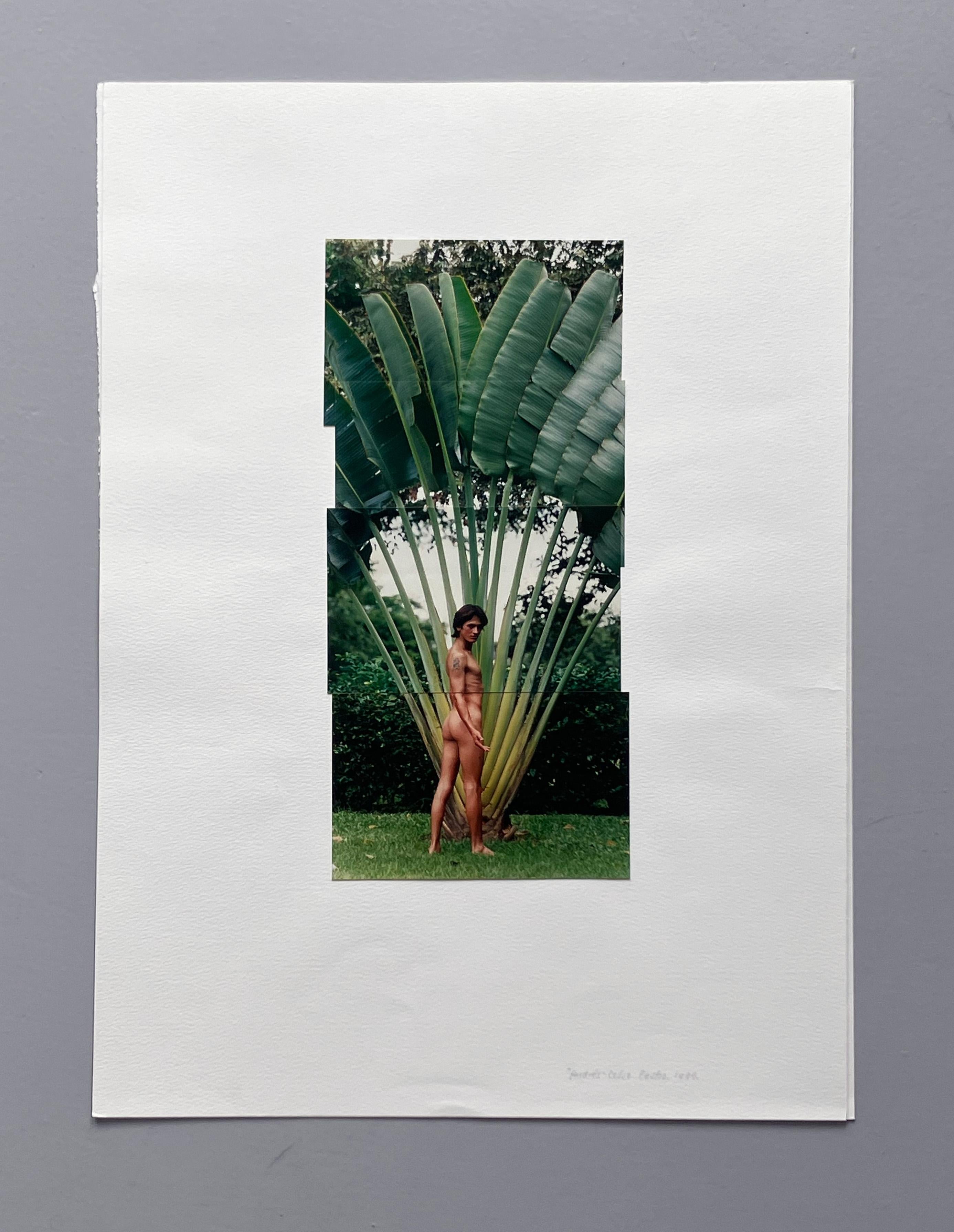 Andrés. Extrait de la série Guerreros. Collage de photos - Photograph de Celso José Castro Daza