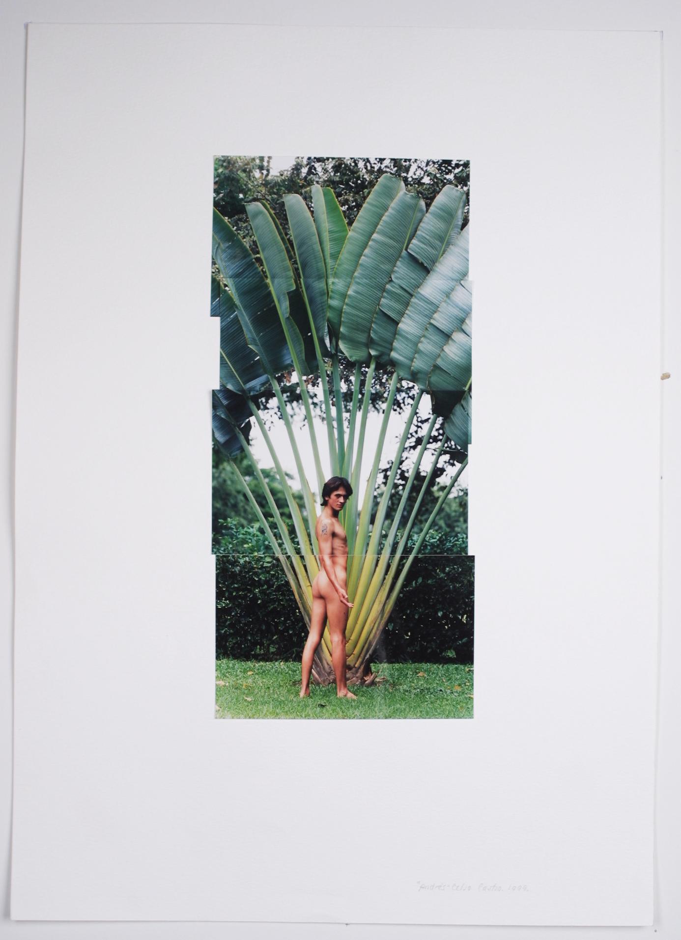 Andrés, 1999 by Celso José Castro Daza
From Identidad series
One-of-a-kind Photo collage
Sheet Size: 27 in. H x 20 in. W
Unframed

The root of these unique photographic works by the artist Celso Castro occurred when the artist returned from Italy to