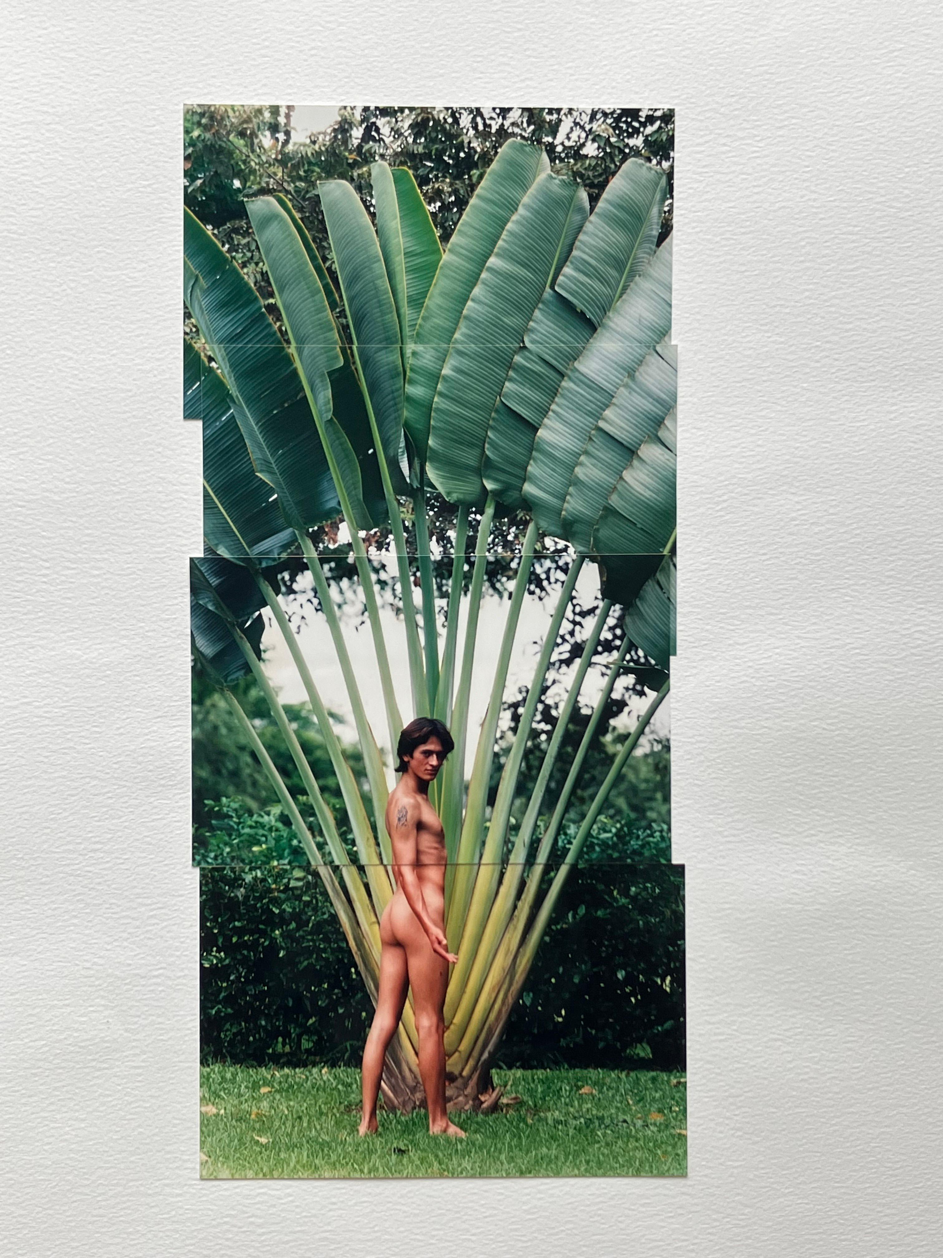 Andrés. Extrait de la série Guerreros. Collage de photos - Contemporain Photograph par Celso José Castro Daza