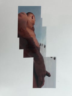 Proyecto de ley. De la serie La Identidad, Collage fotográfico Técnica mixta