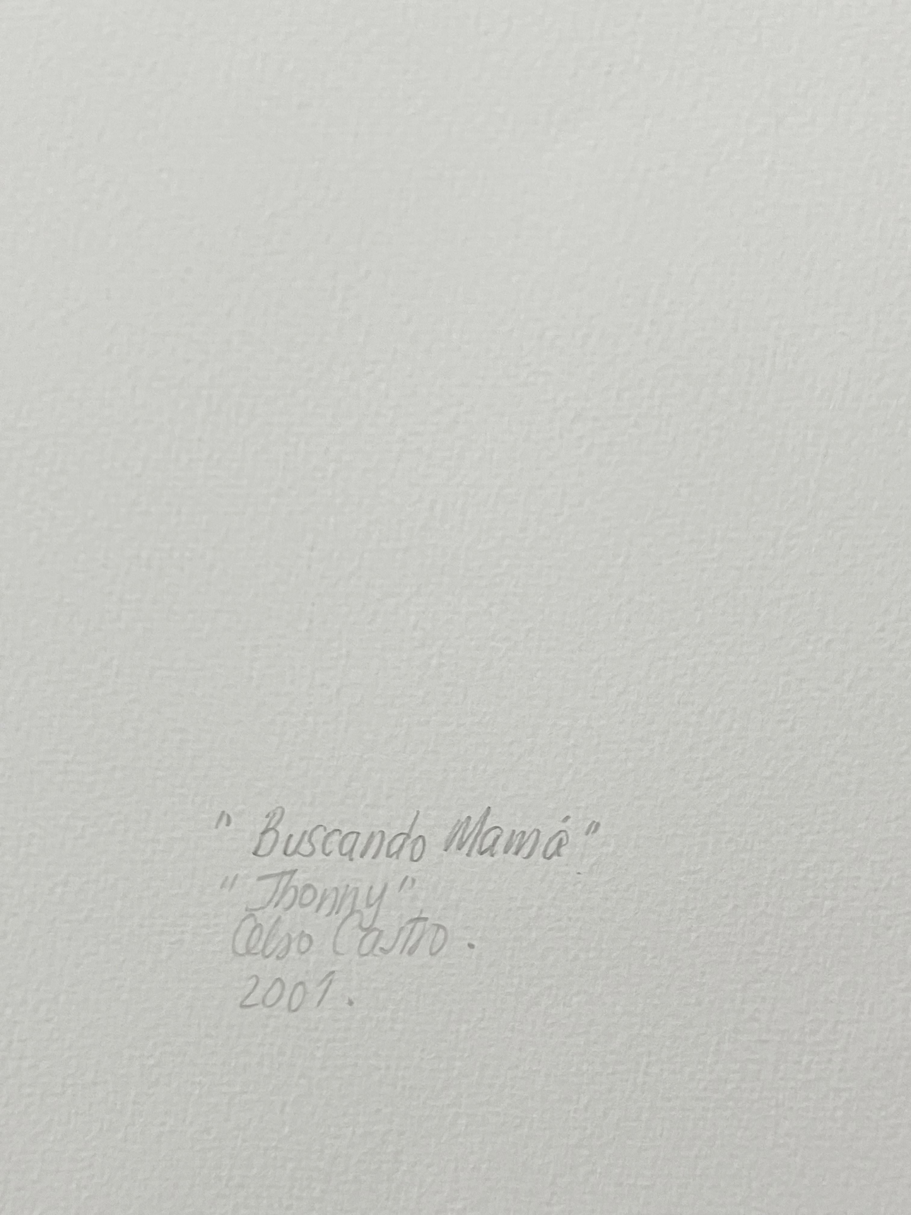 Las obras fotocollage de Castro, muy laboriosas, de capos de la droga, contrabandistas, sicarios, paisanos, vendedores ambulantes, soldados, paramilitares, secuestradores y proxenetas posan mostrando con orgullo sus penes erectos al espectador