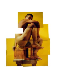 Luis Alberto from Identidad series, Nude Photo Collage, Mixed media