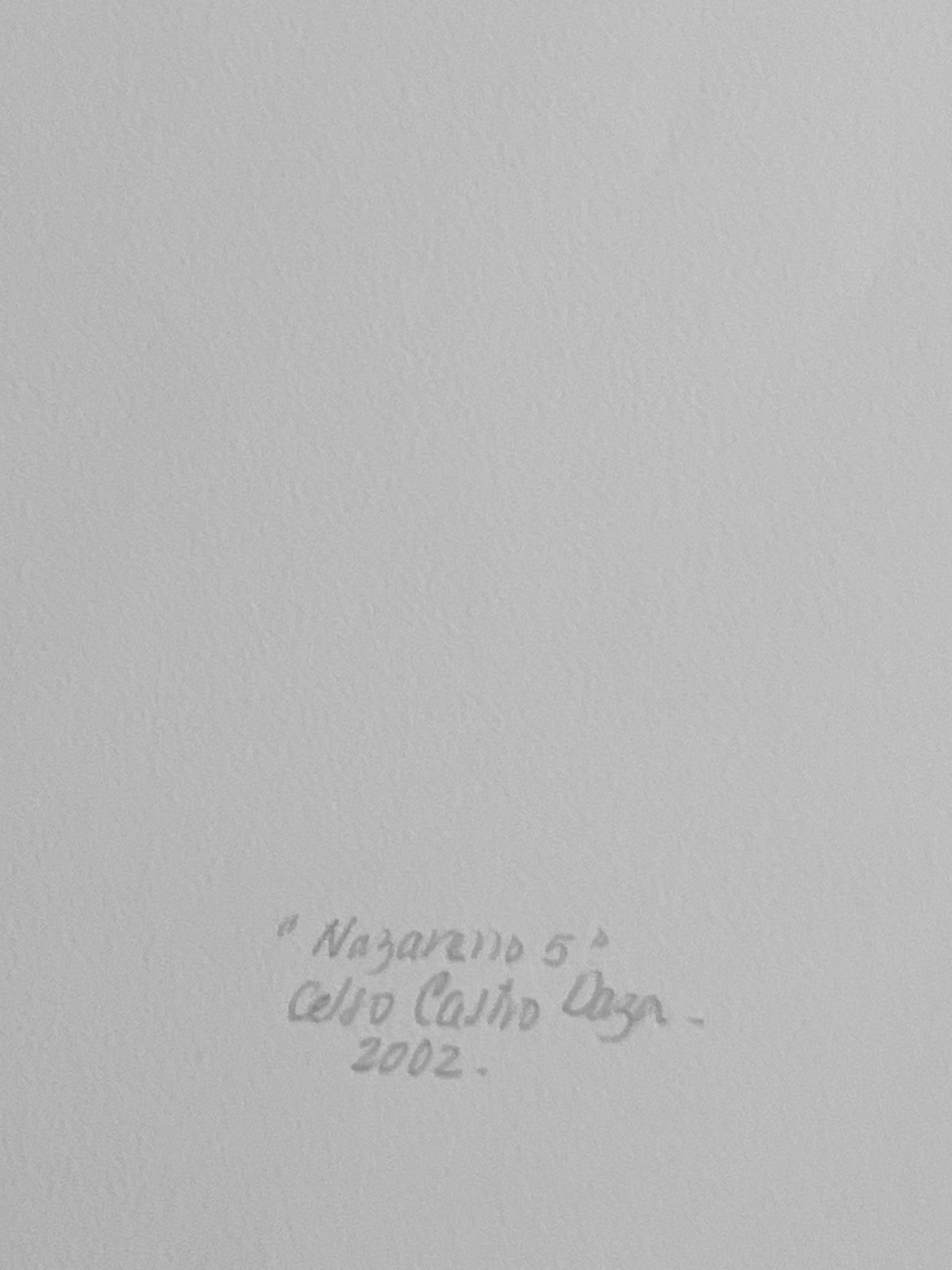 L'origine di queste opere fotografiche uniche dell'artista Celso Castro è avvenuta quando l'artista è tornato dall'Italia a vivere in Colombia nel 1987.

Castro voleva produrre dalle fotografie che scattava con la sua macchina fotografica versioni