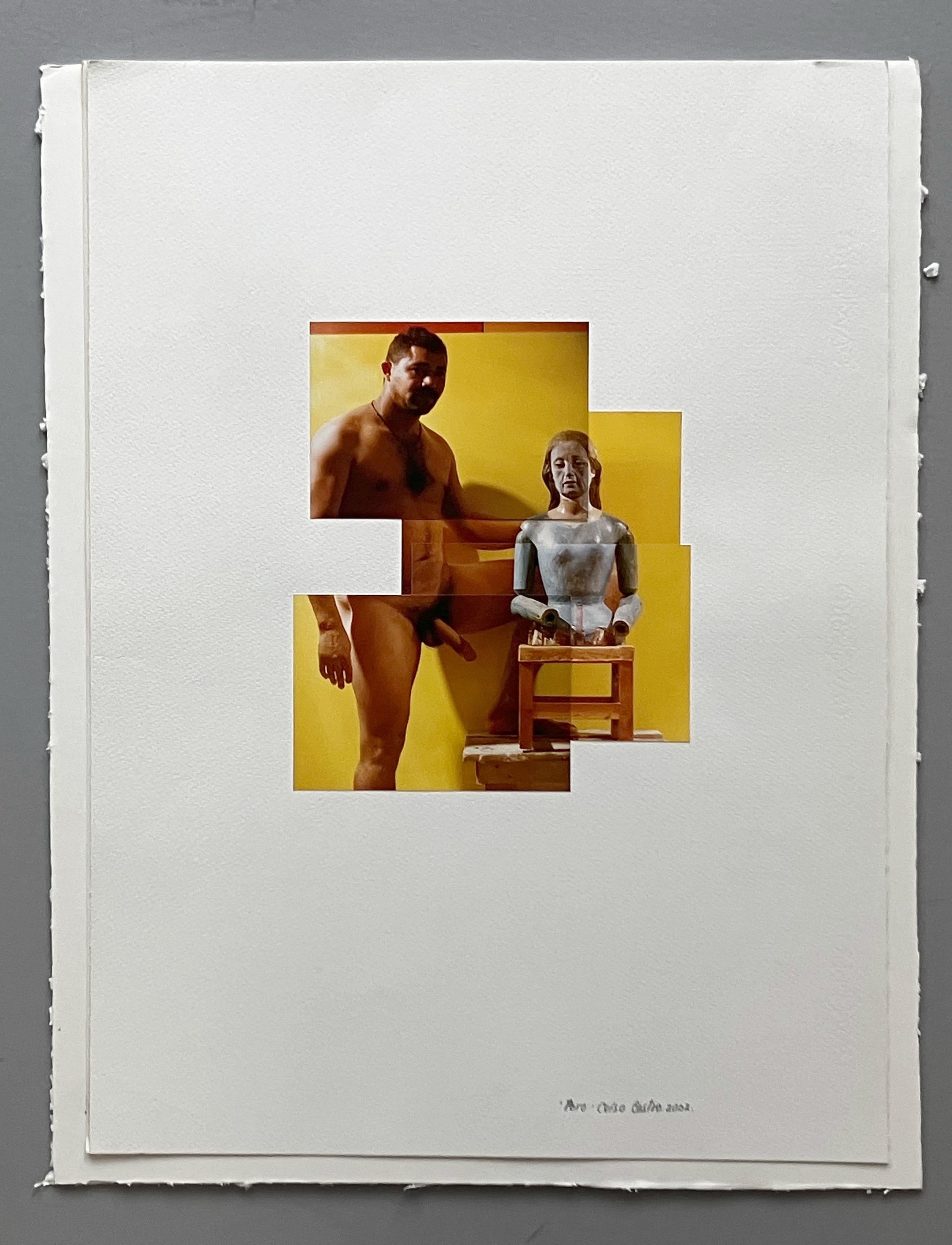 L'origine de ces œuvres photographiques uniques de l'artiste Celso Castro remonte à 1987, lorsque l'artiste est revenu d'Italie pour vivre en Colombie.

Castro souhaitait produire, à partir des photographies qu'il prenait avec son appareil, des