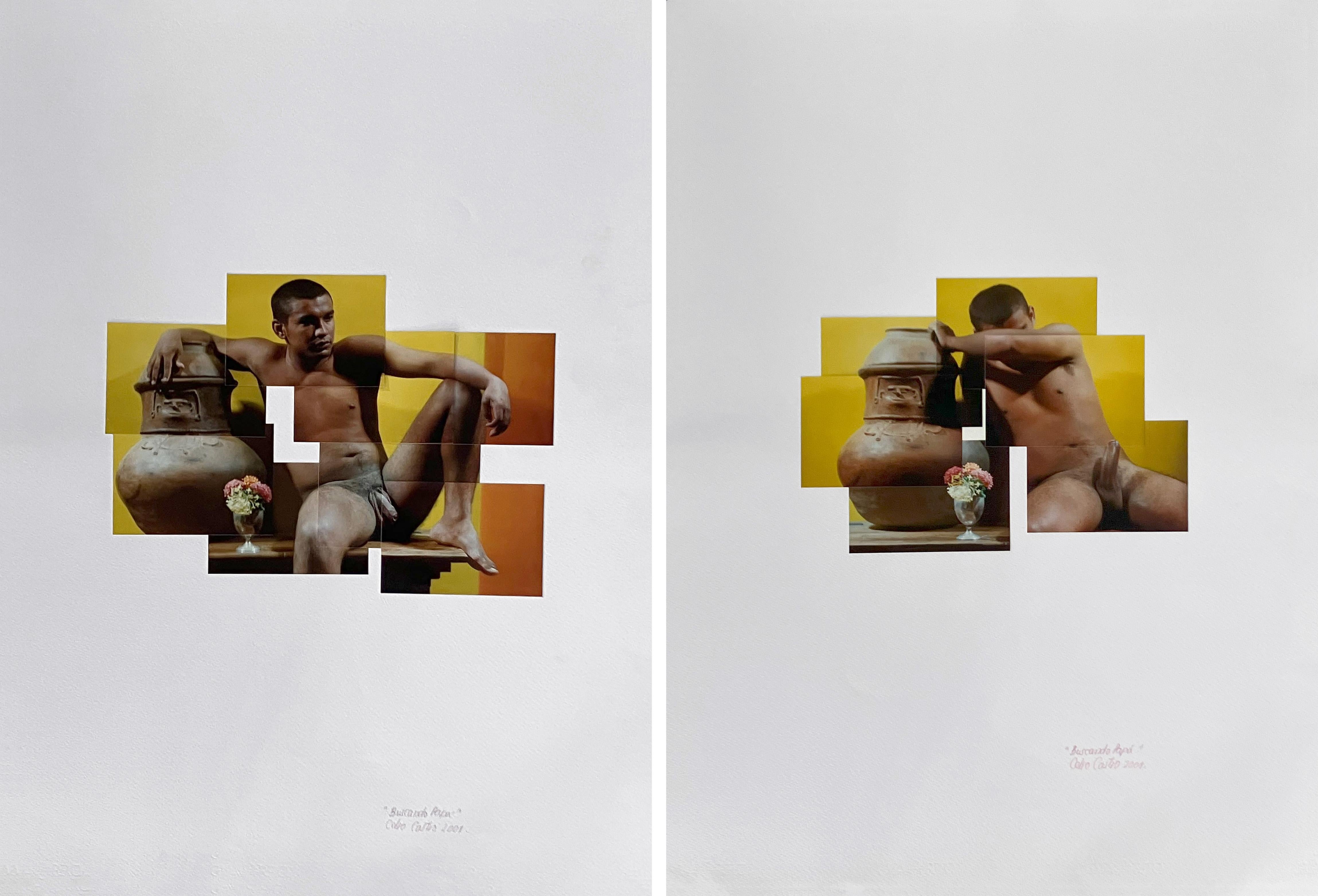 Untitled 2 and 3 Diptych. From Searching a Father Series. Photomontage