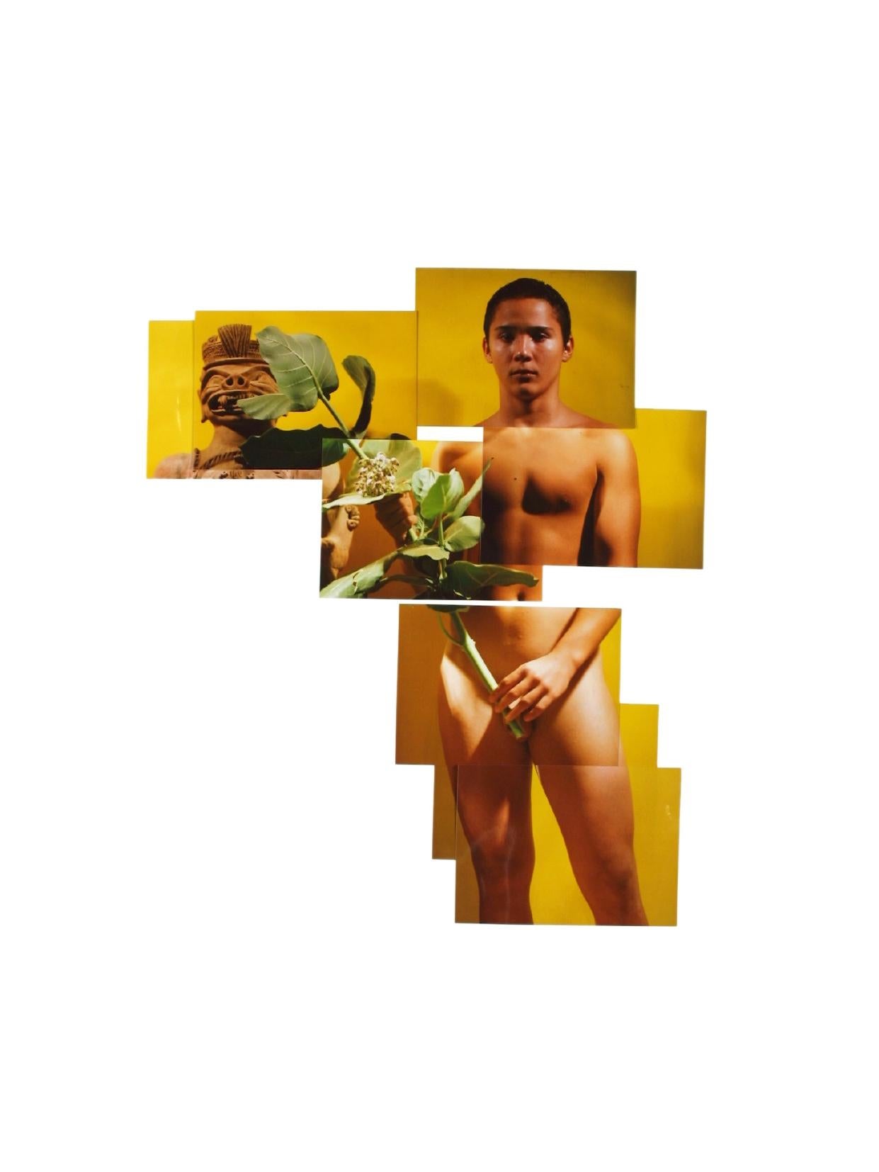 Celso José Castro Daza Color Photograph - Untitled, 2001 from Buscando Papa series, Photo Collage Nude Mixed media 