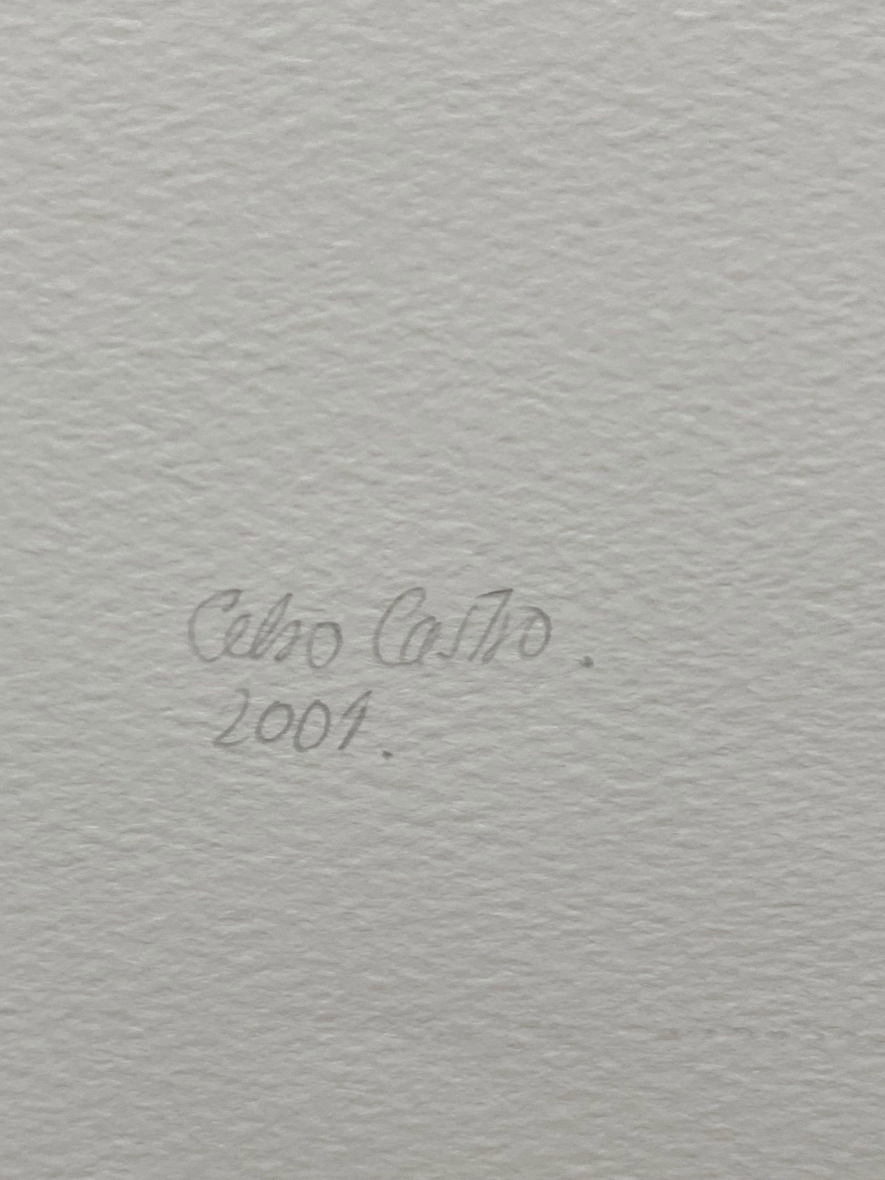 The root of these unique photographic works by the artist Celso Castro occurred when the artist returned from Italy to live back in Colombia in 1987.

Castro wanted to produce from the photographs he took with his camera larger versions of those