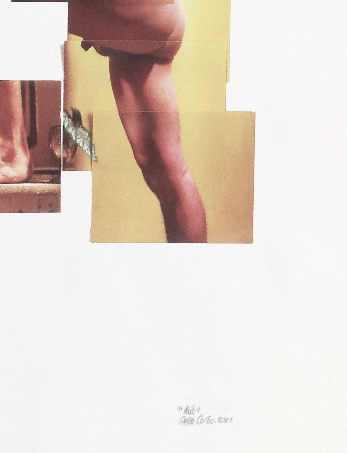 Untitled from Buscando Papa series, Nude. Photo Collage, Mixed series - Beige Nude Photograph by Celso José Castro Daza
